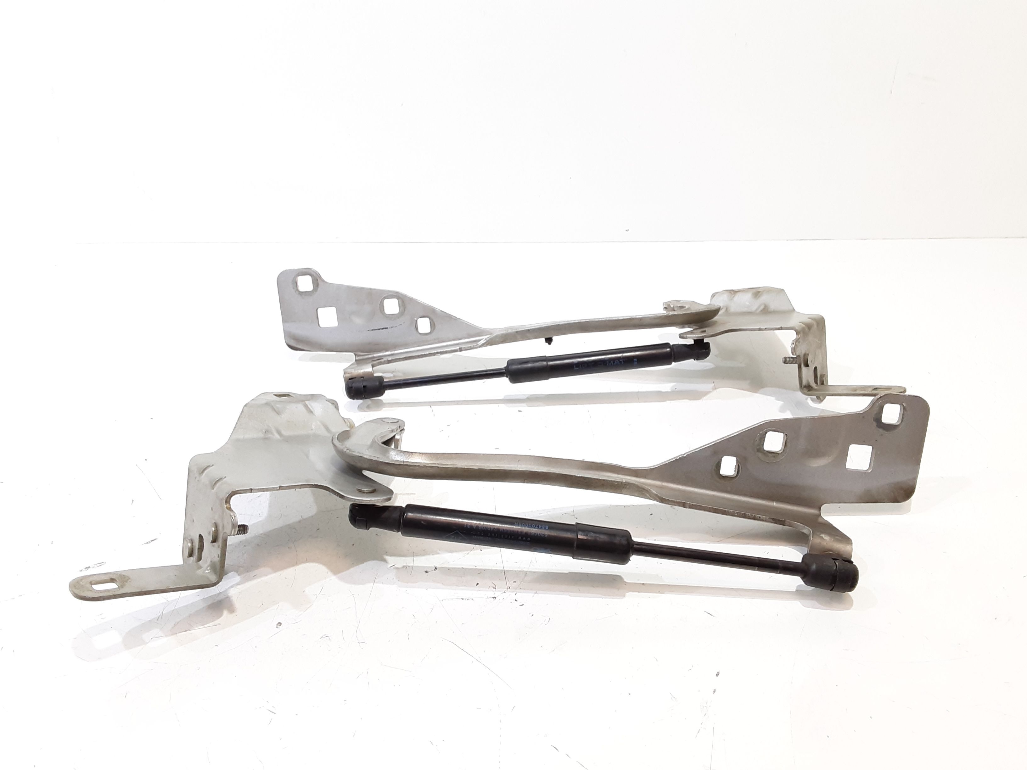 Cerniera Cofano Ant. Sinistro 654012134R Usato