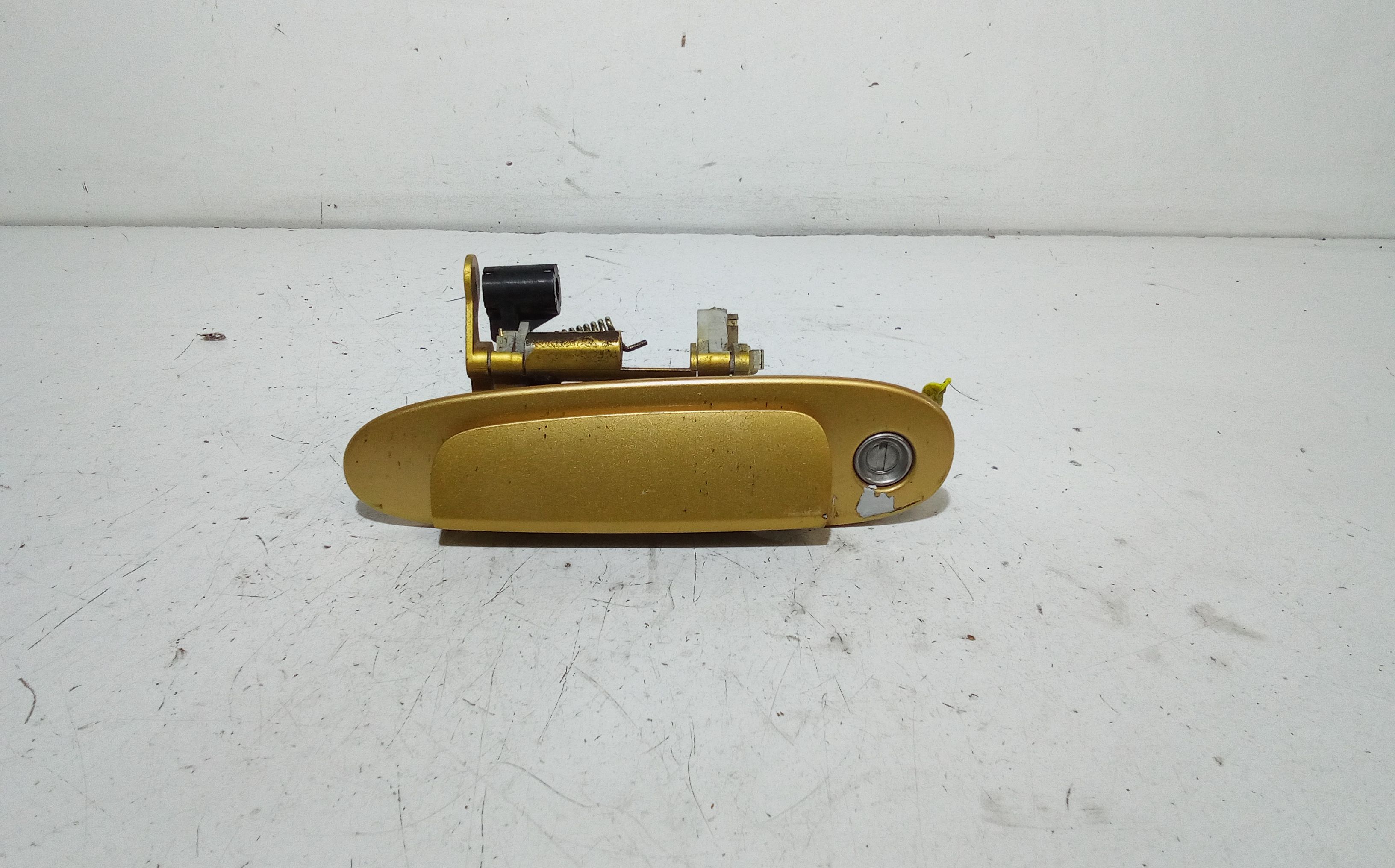 Maniglia Porta Ant. Sinistro 6922052020B1 Usato