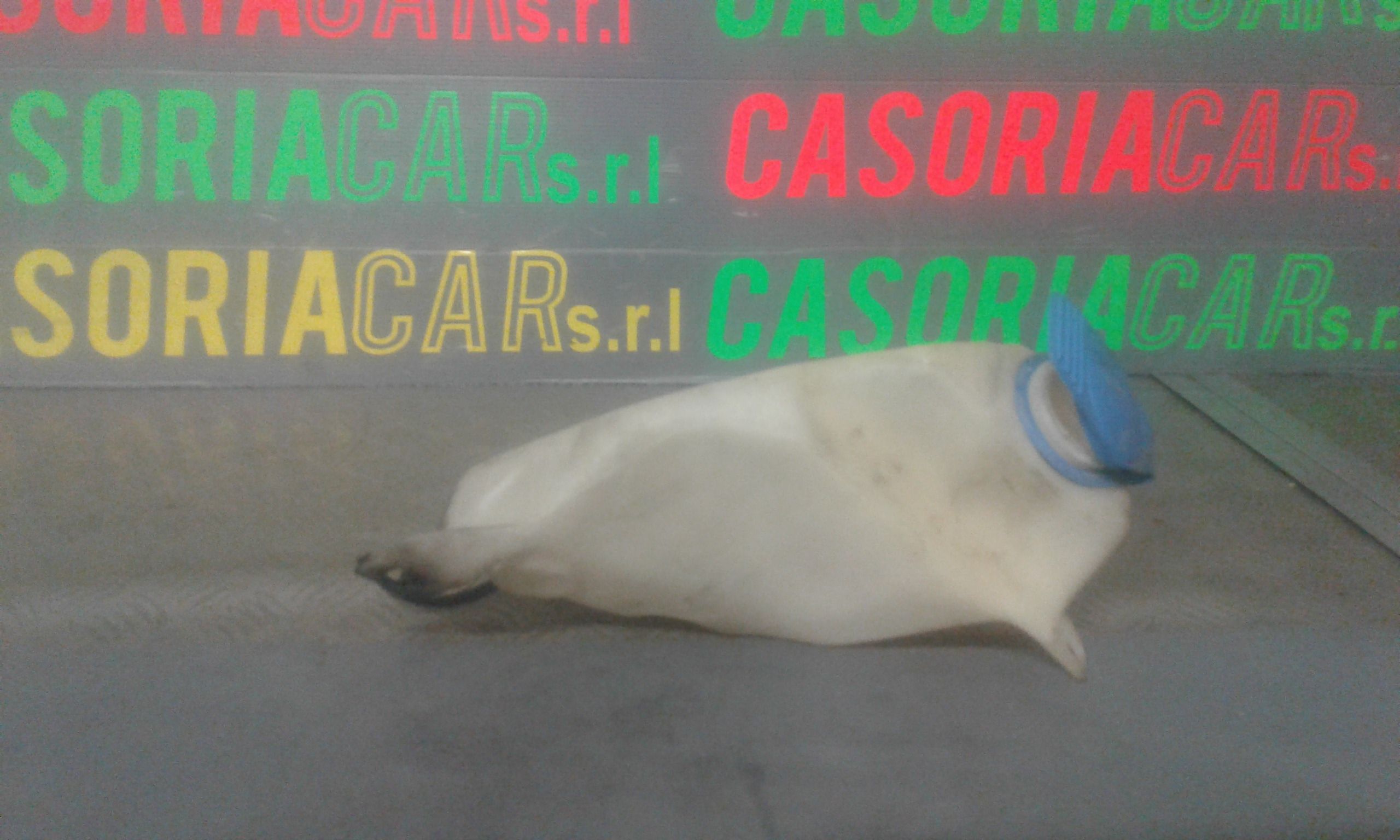 Vaschetta Compensazione Radiatore 6Q0121407B Usato