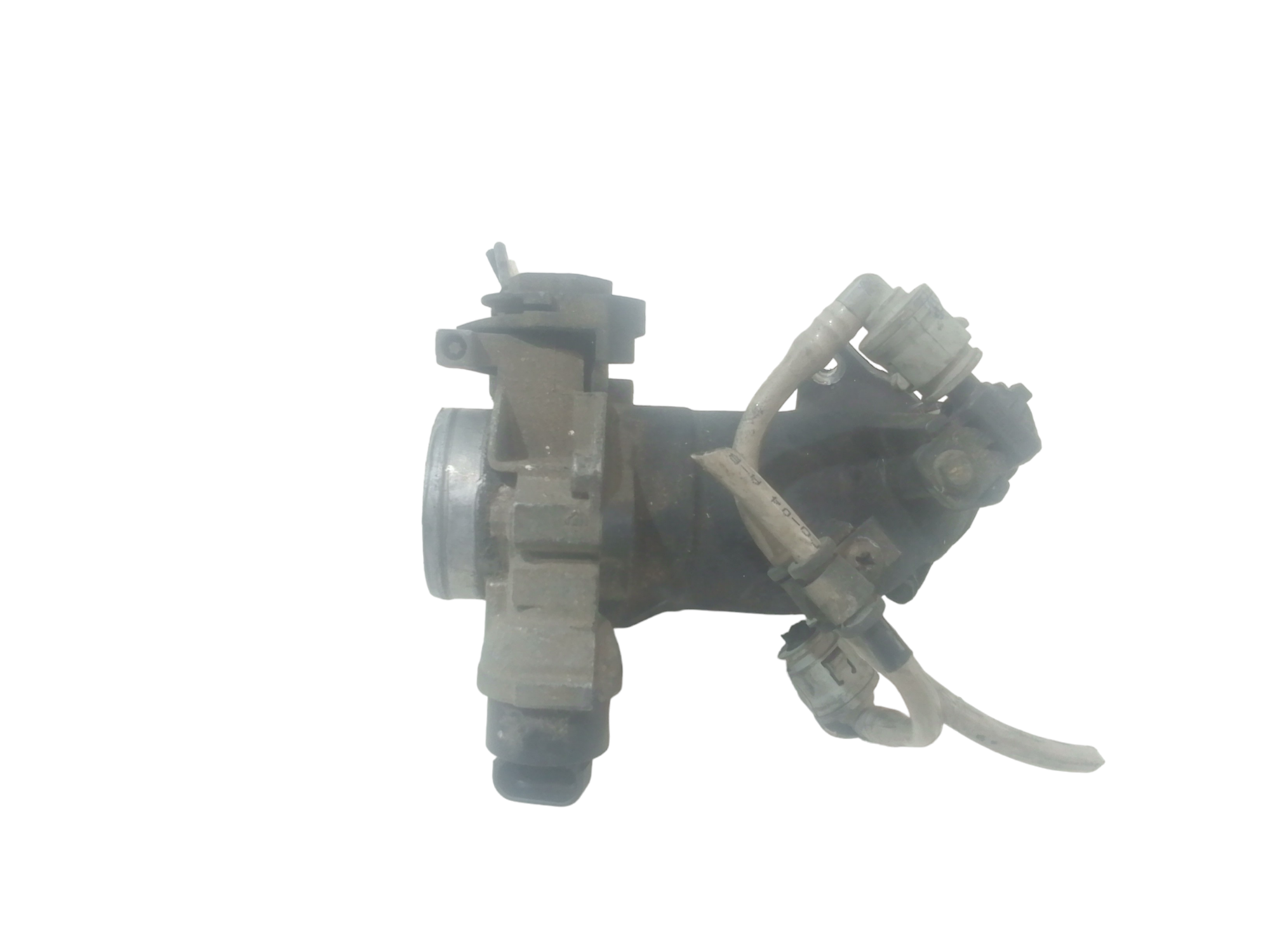 Corpo Farfallato Usato