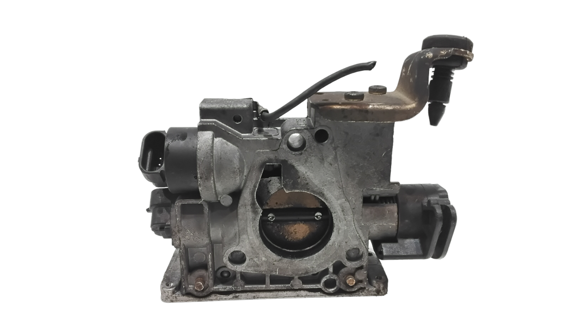 Corpo Farfallato 71787554 Usato