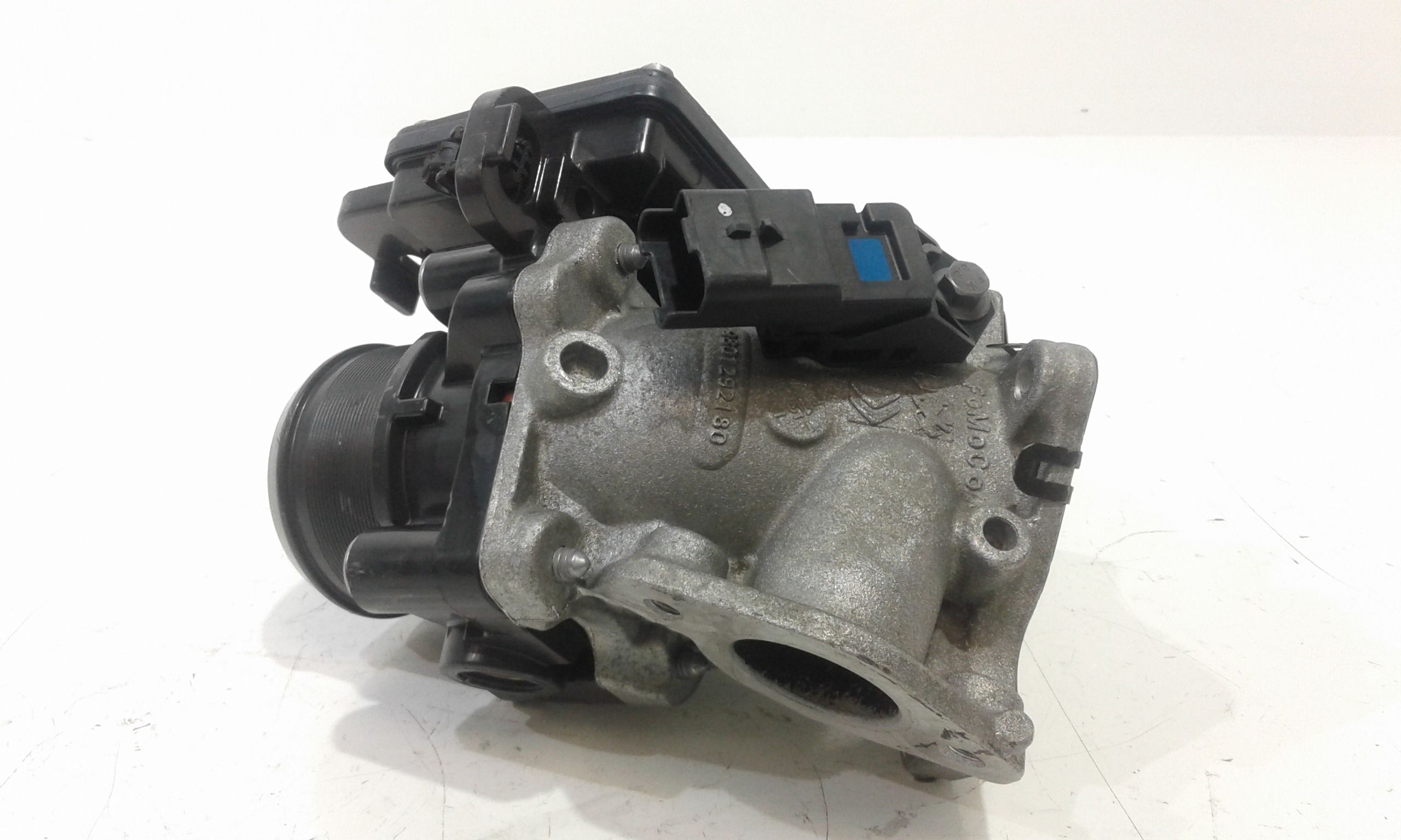 Corpo Farfallato 2182325 Usato