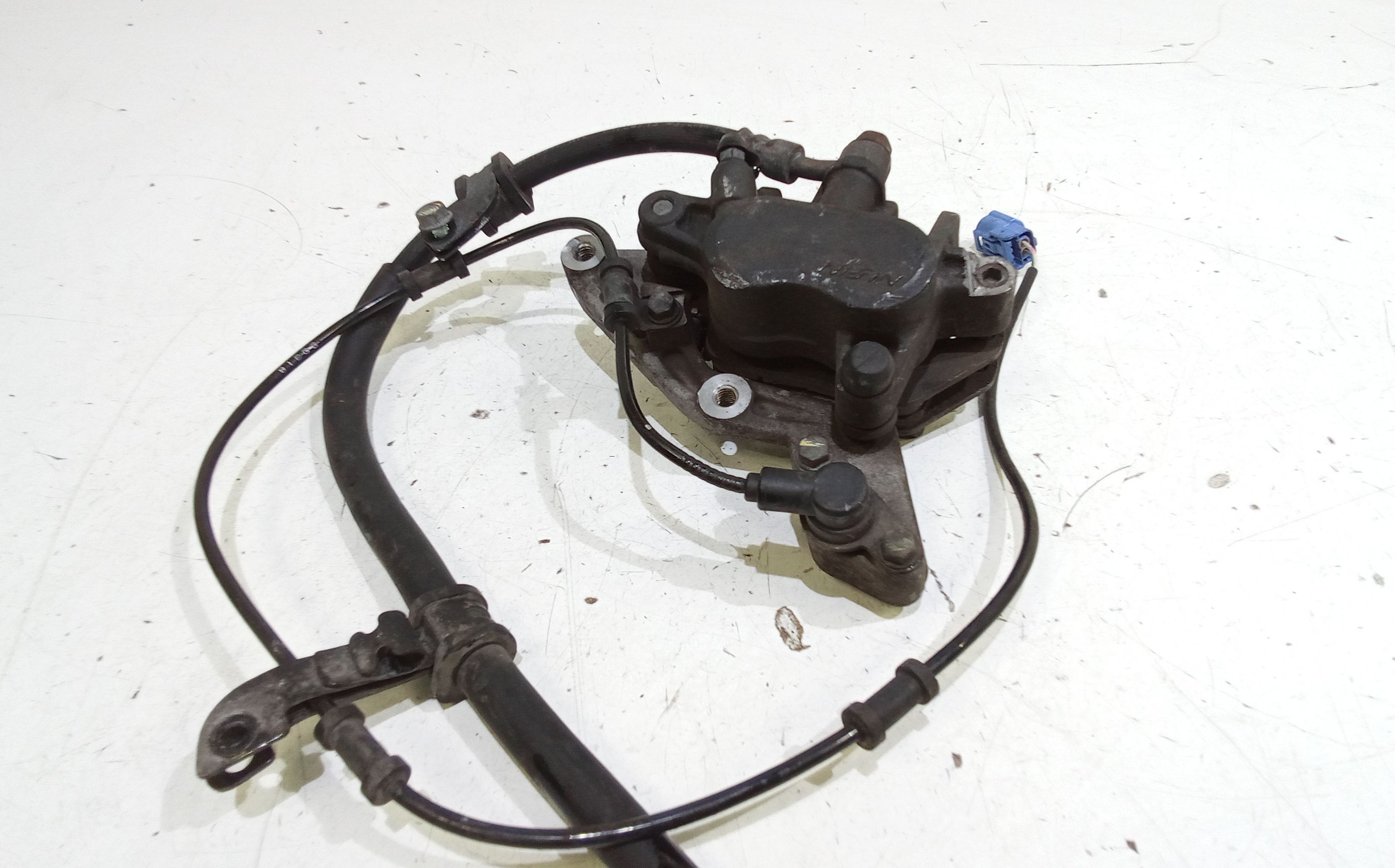 Pinza Freno Anteriore Usato