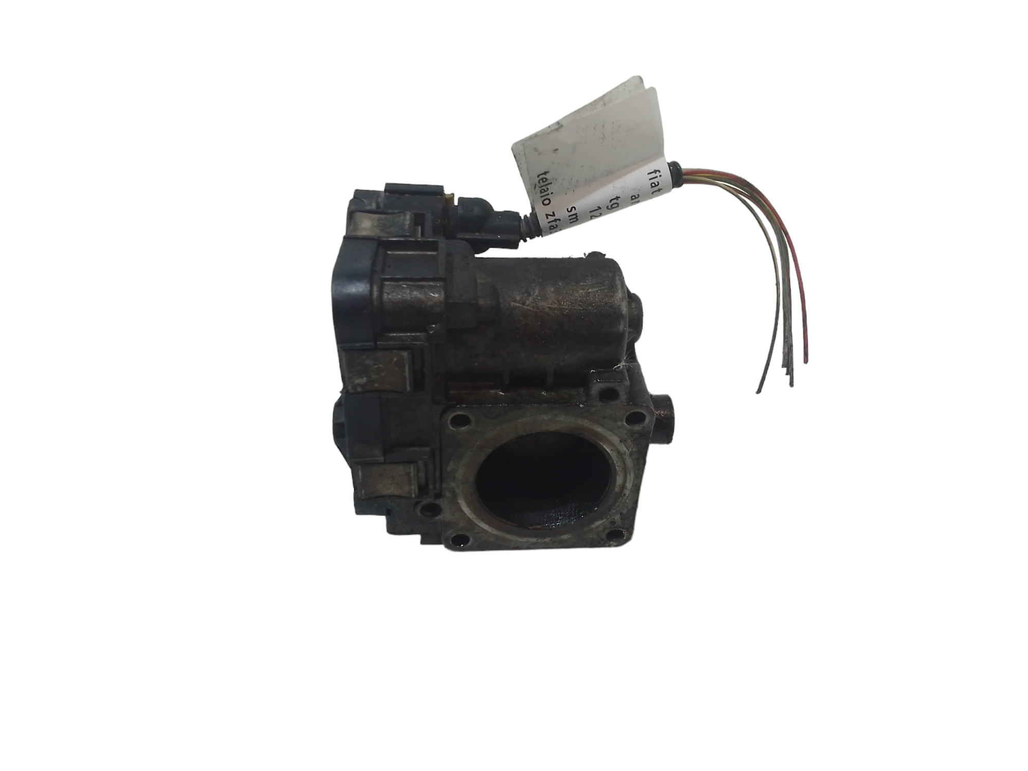 Corpo Farfallato 77365779 Usato