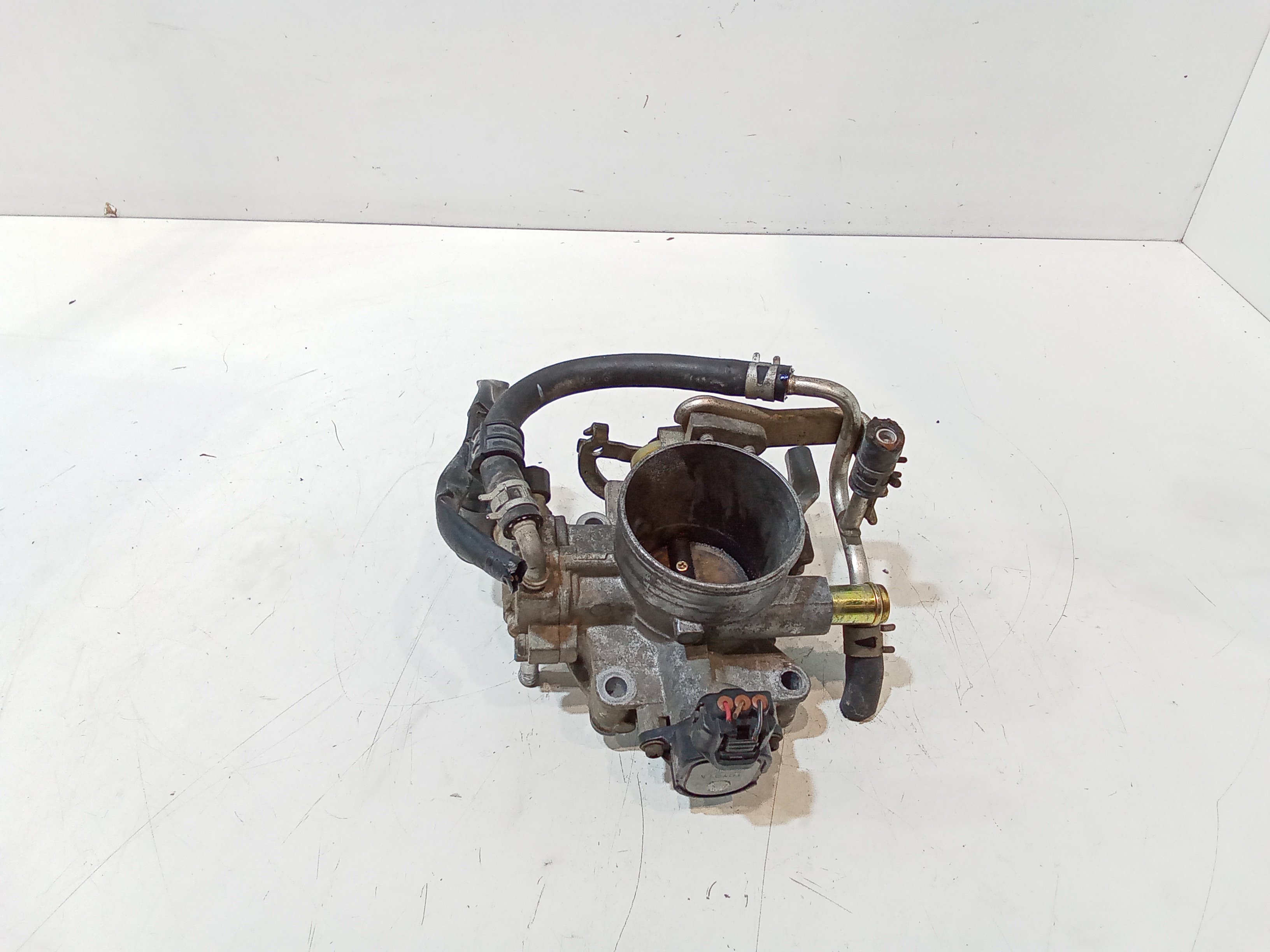 Corpo Farfallato Usato