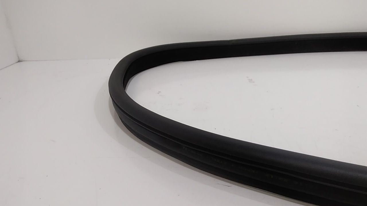 Guarnizione Porta Ant. Usato