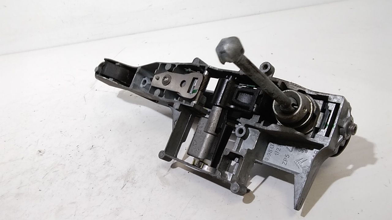 Maniglia Porta Ant. Sinistro 9101GE Usato