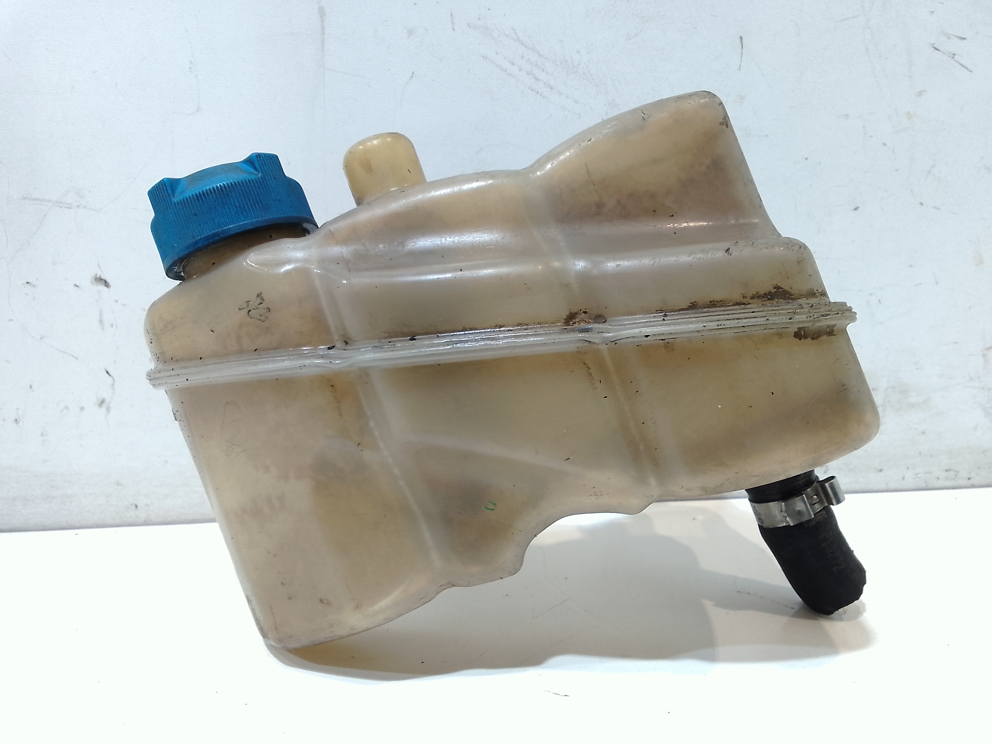 Vaschetta Compensazione Radiatore Usato