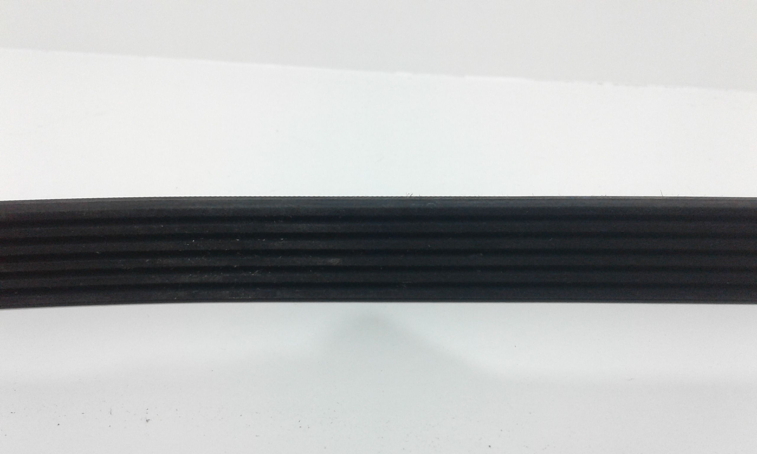 Cinghia Distribuzione Usato