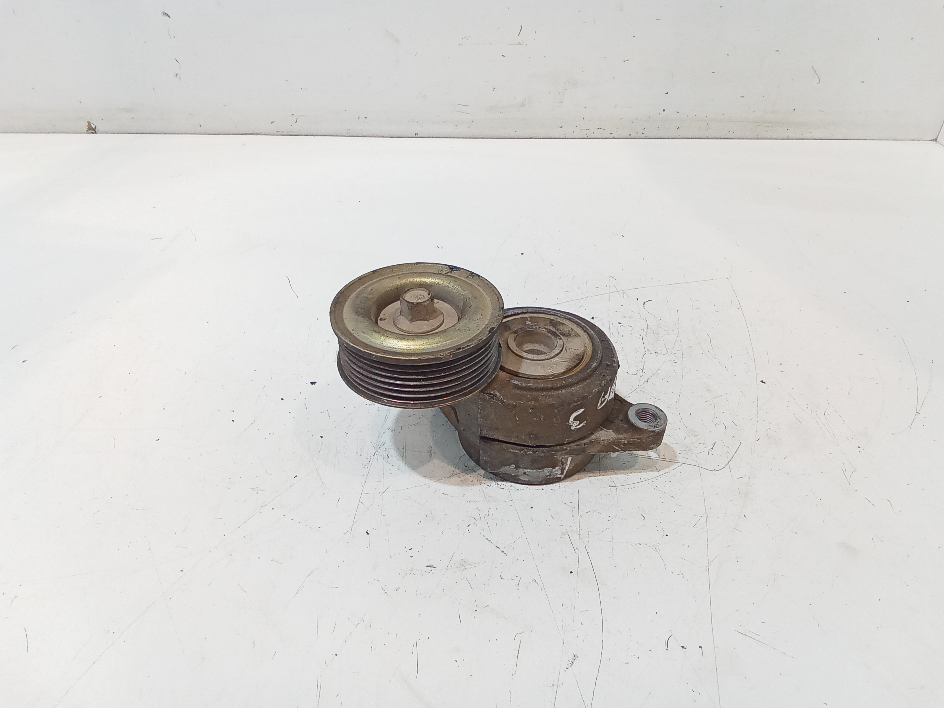 Supporto Tendicinghia Distribuzione Usato