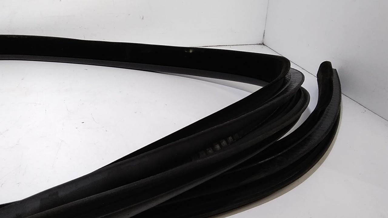 Guarnizione Porta Ant. Usato