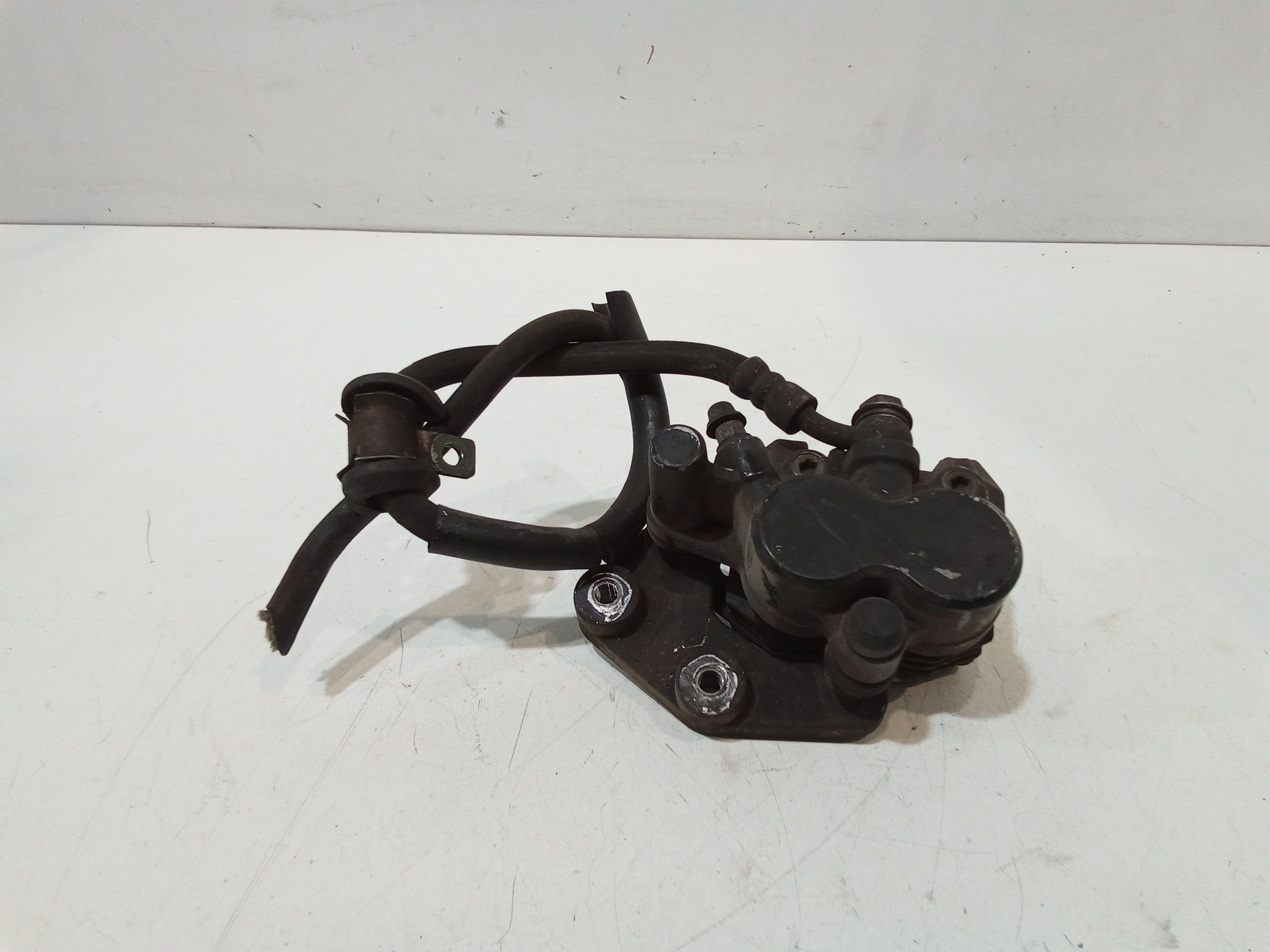 Pinza Freno Anteriore Usato