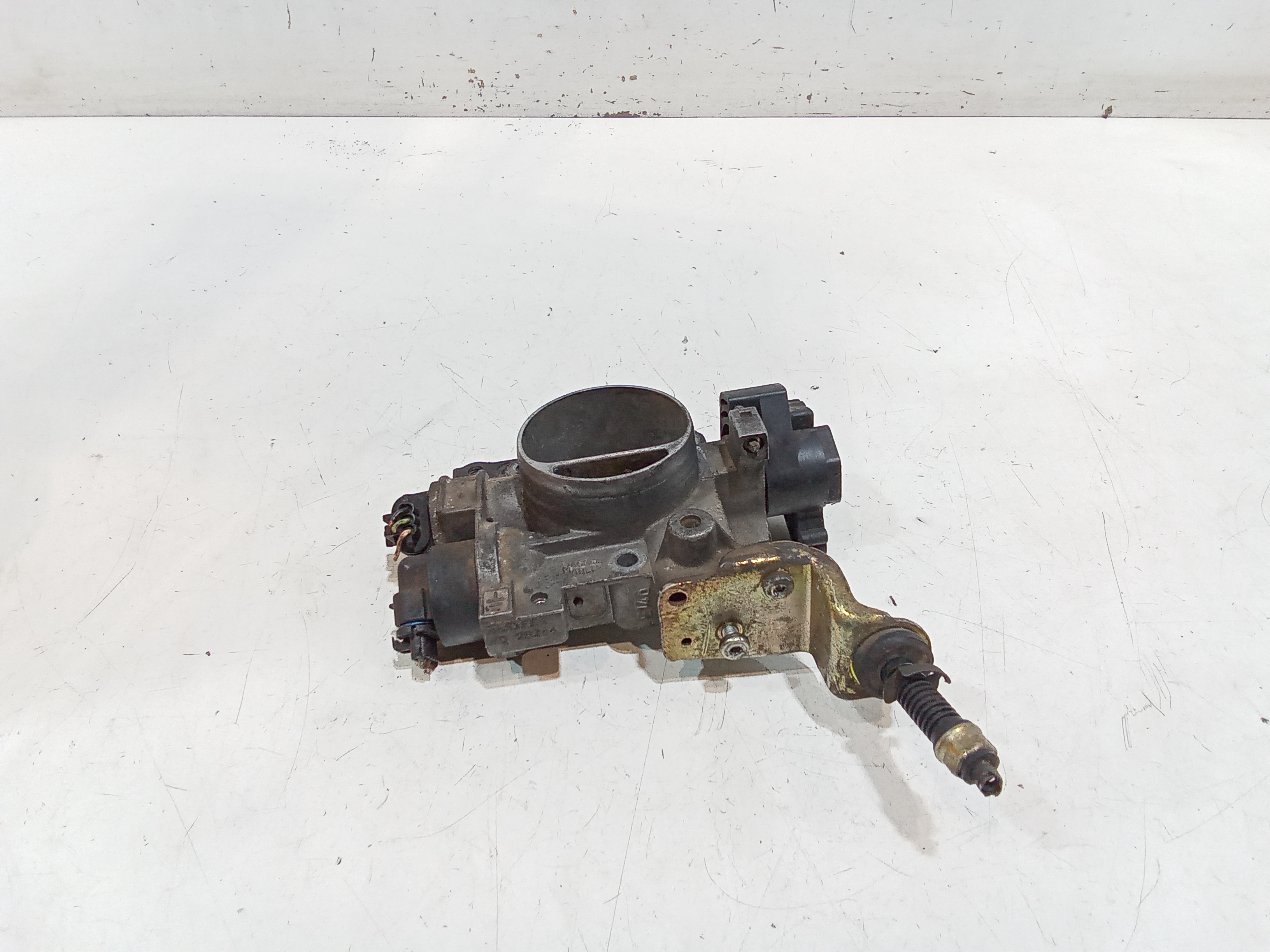 Corpo Farfallato 71787554 Usato