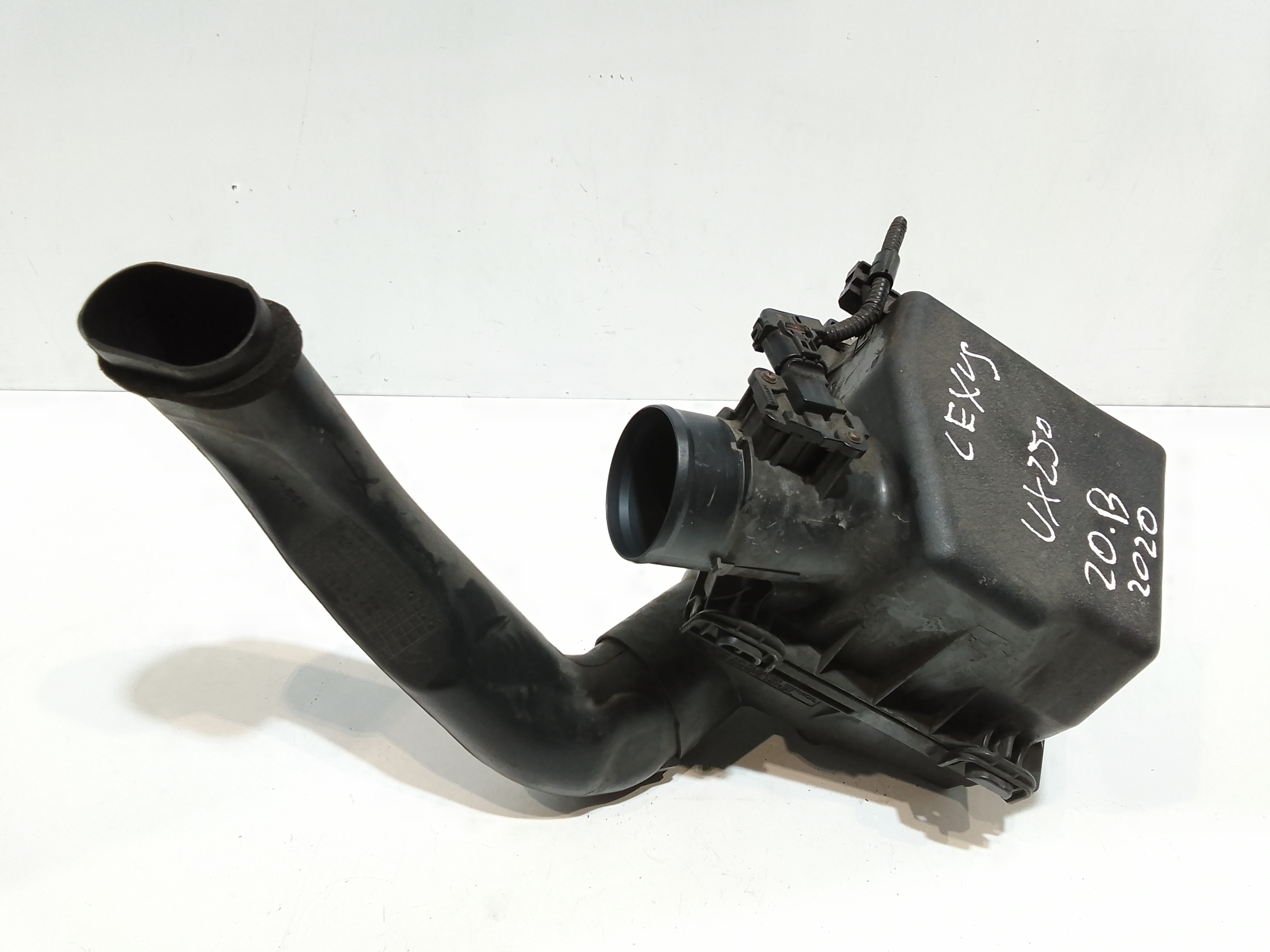 Serbatoio Tergiparabrezza Compl. Usato