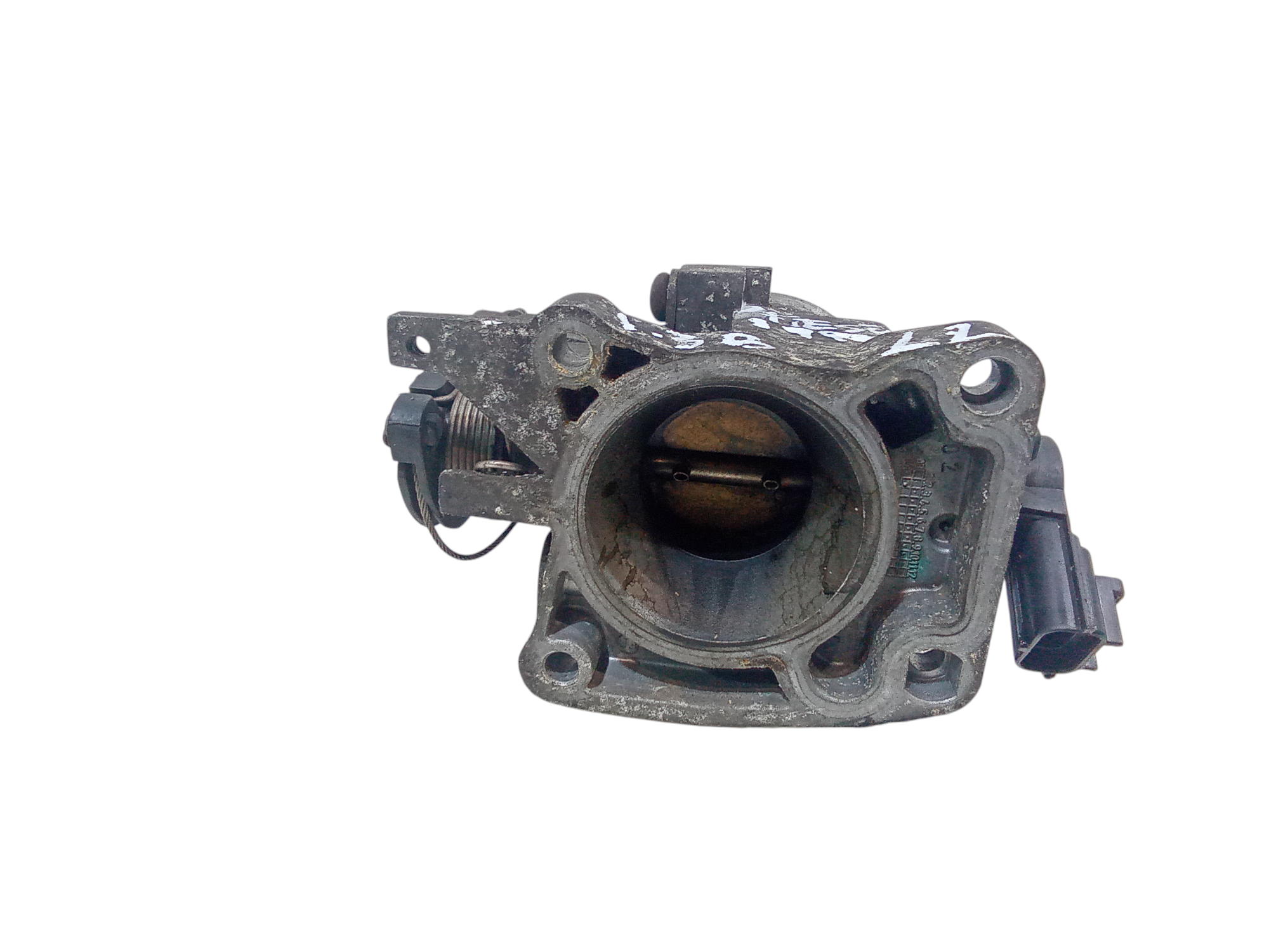 Corpo Farfallato Usato