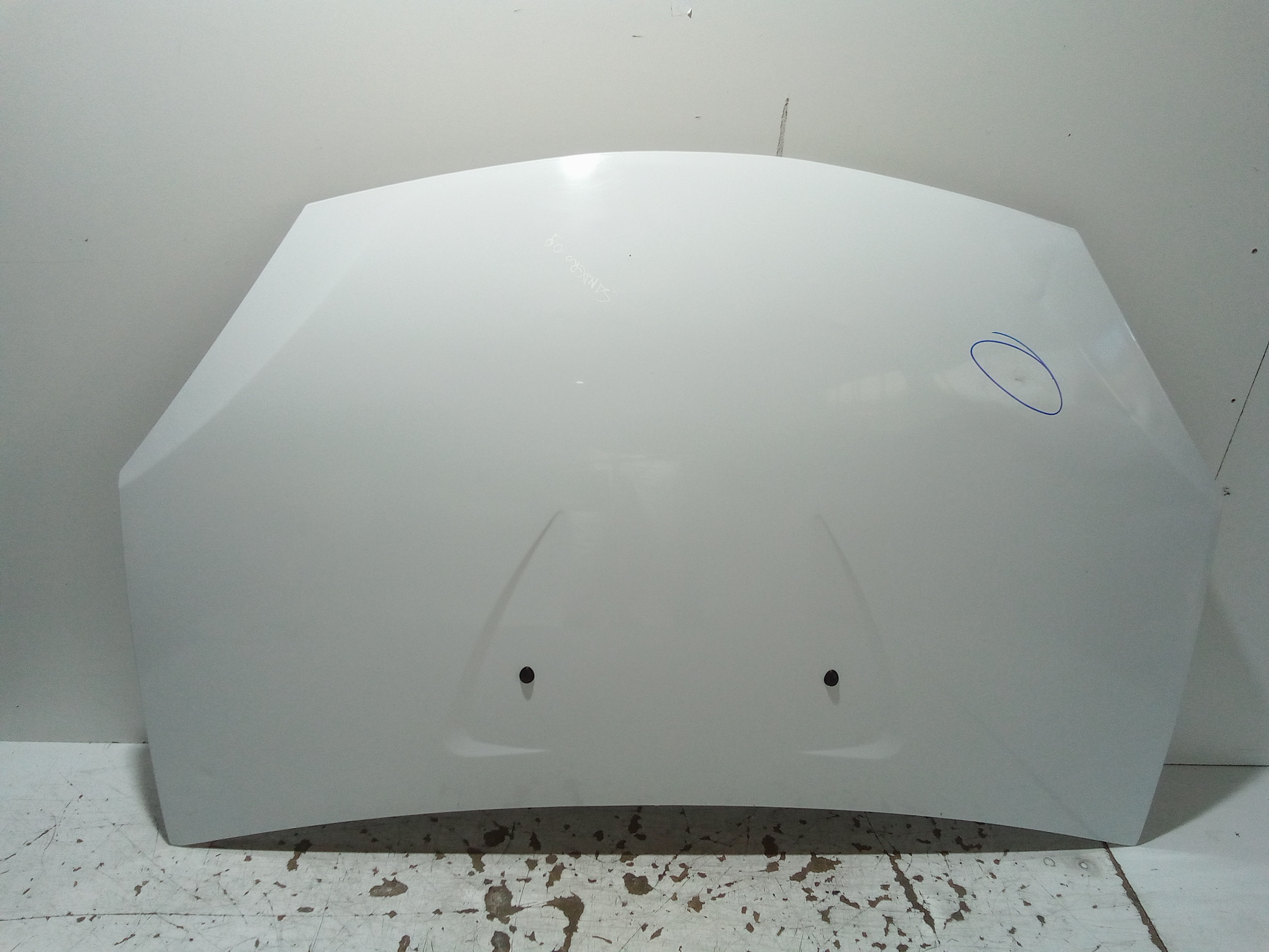 Cofano Ant. 6001551793 Usato