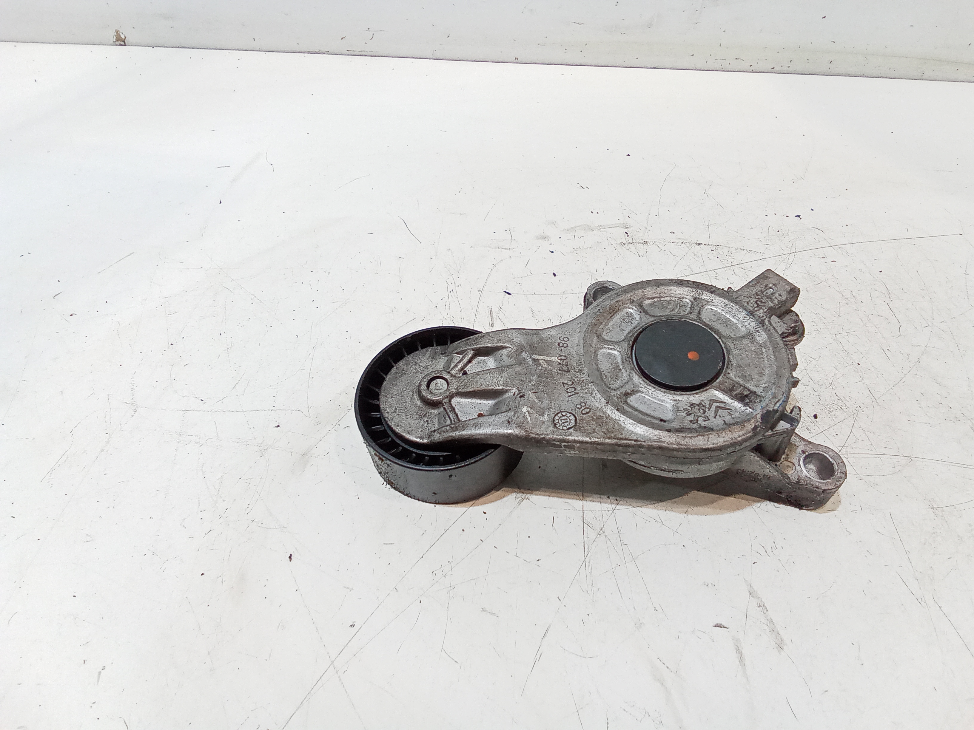 Supporto Tendicinghia Distribuzione Usato