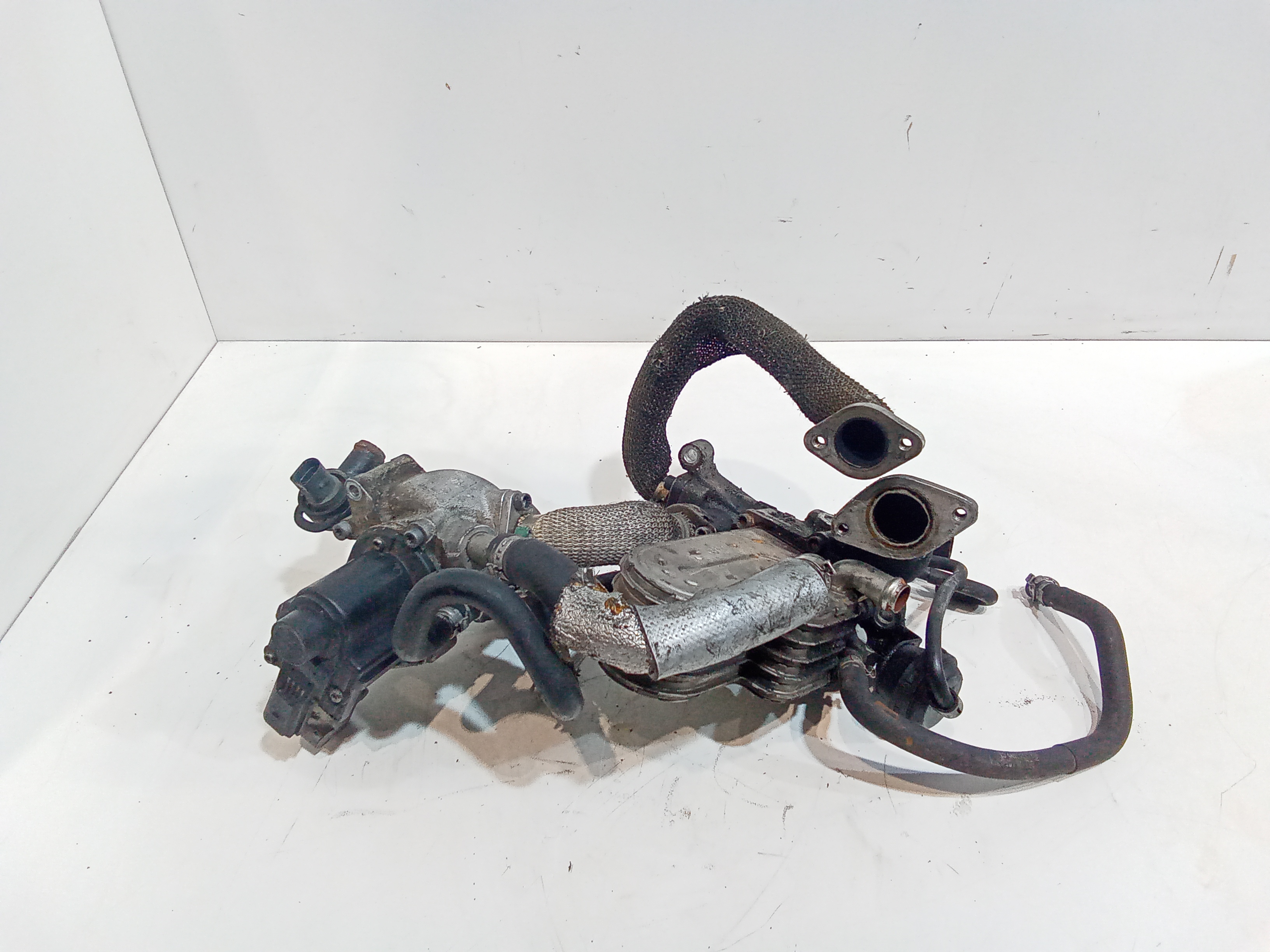 Scambiatore Calore Egr Usato