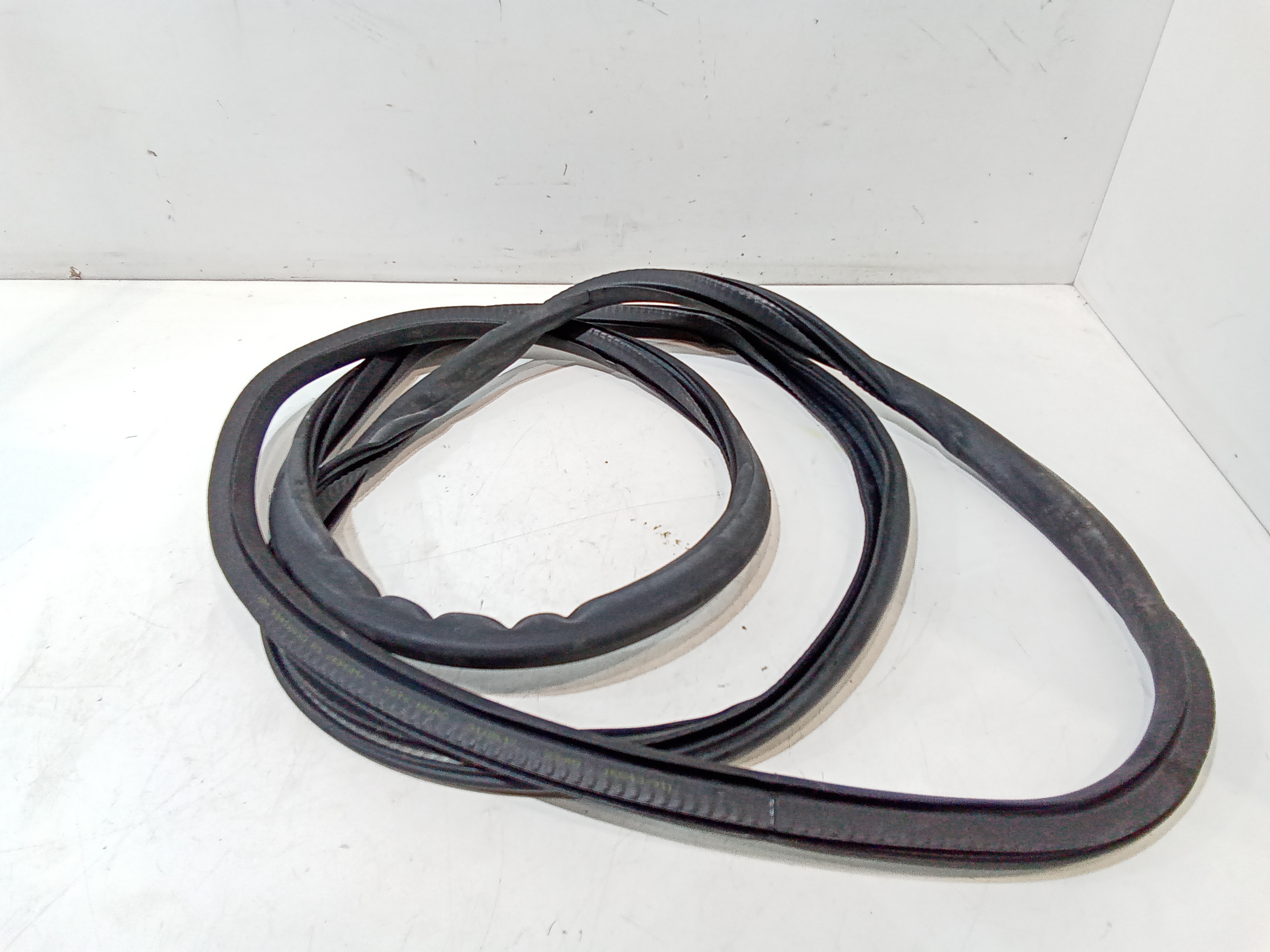 Guarnizione Porta Ant. Usato