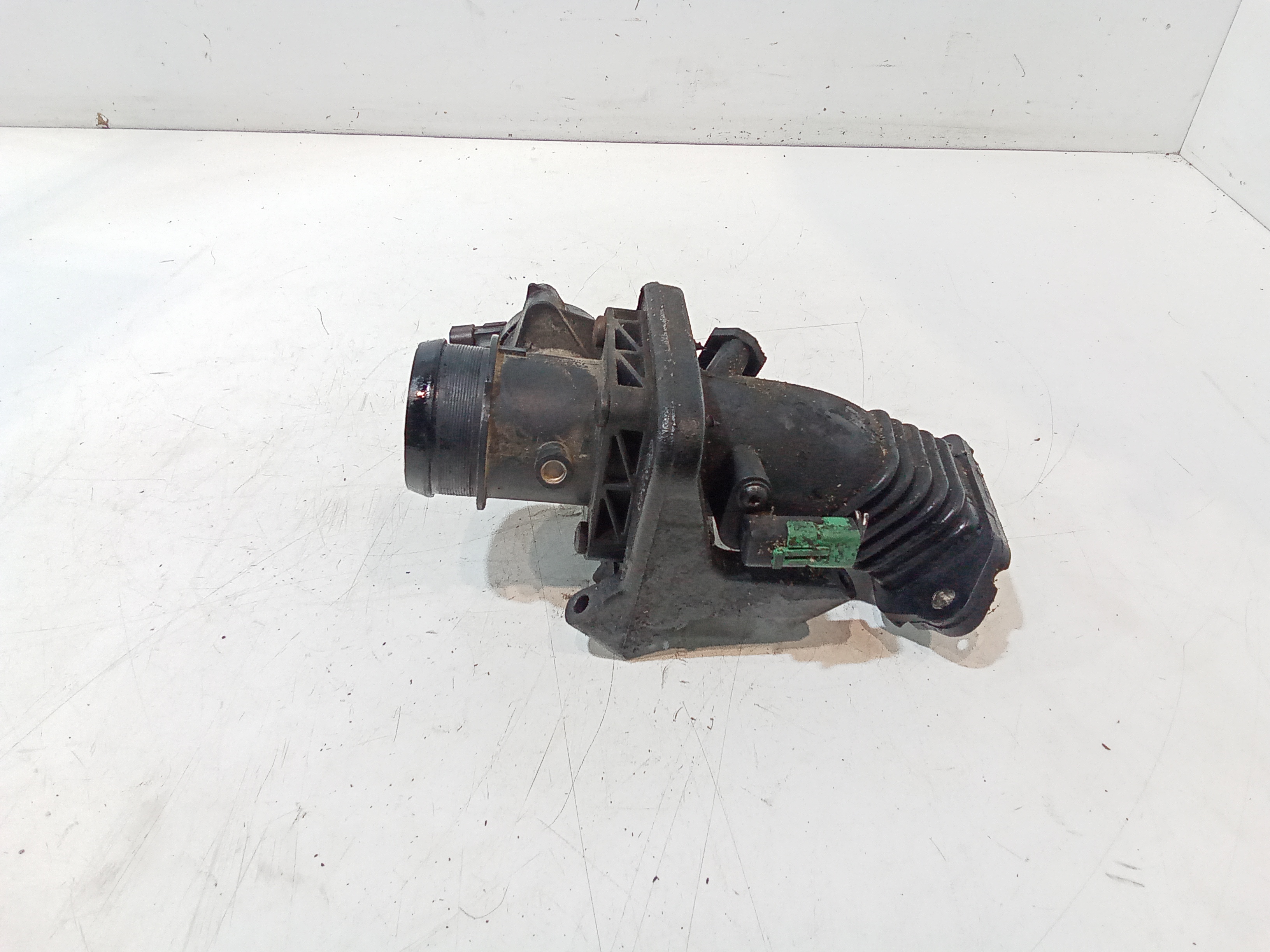 Corpo Farfallato 1371899 Usato