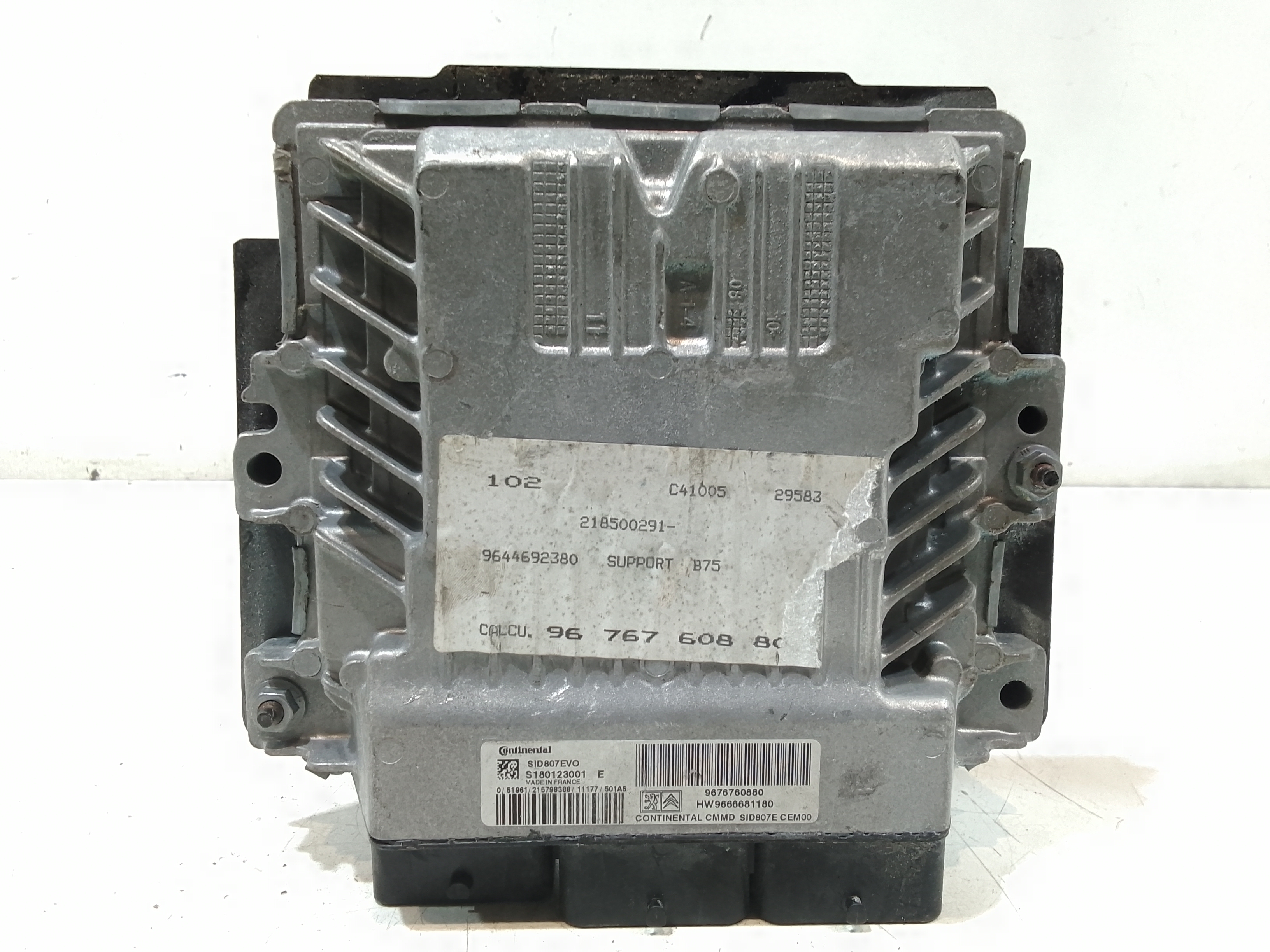 Centralina Iniezione 194498 Usato