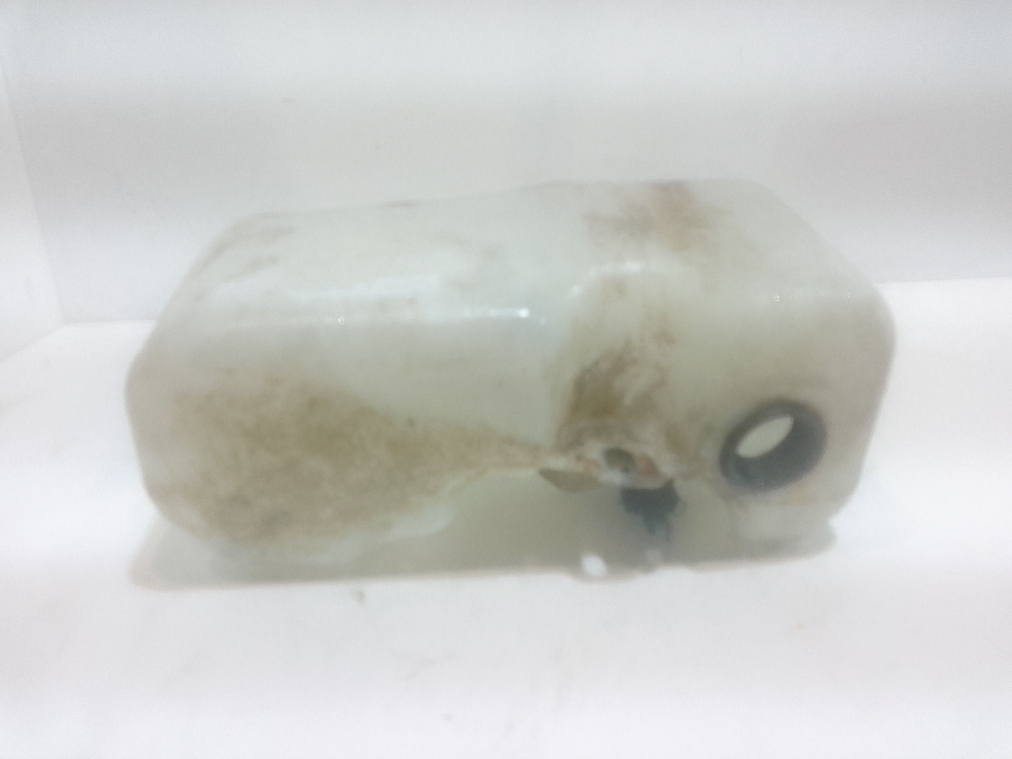 Serbatoio Tergiparabrezza Compl. Usato