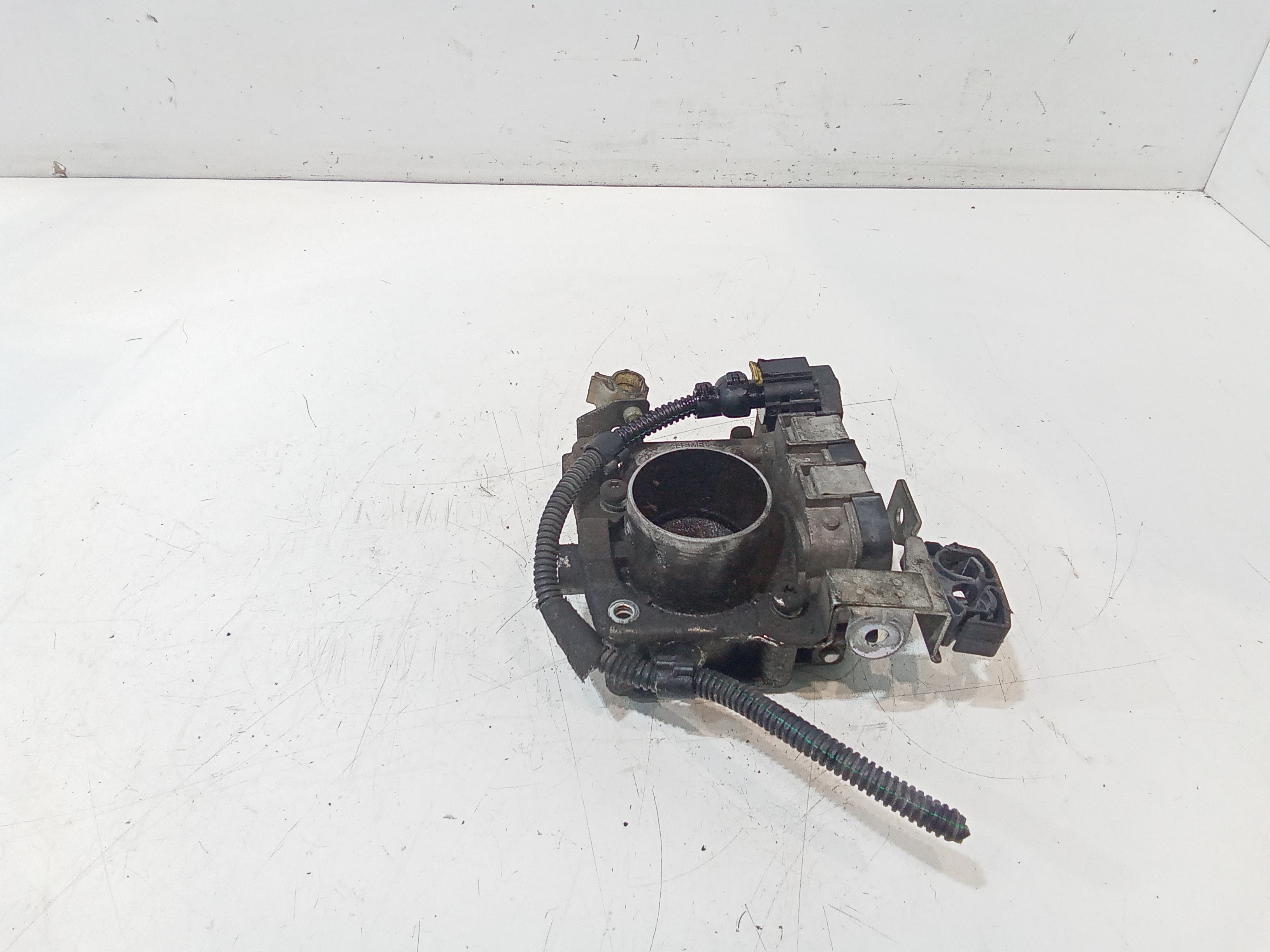 Corpo Farfallato 71787548 Usato