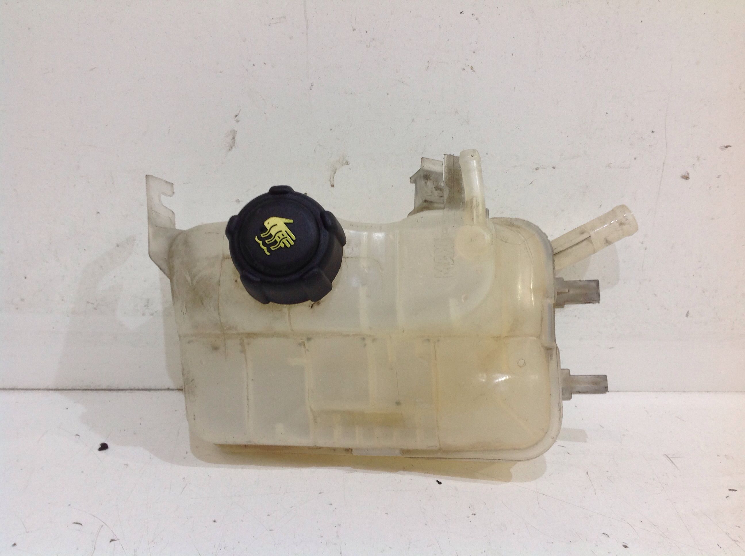 Vaschetta Compensazione Radiatore 217100005R Usato