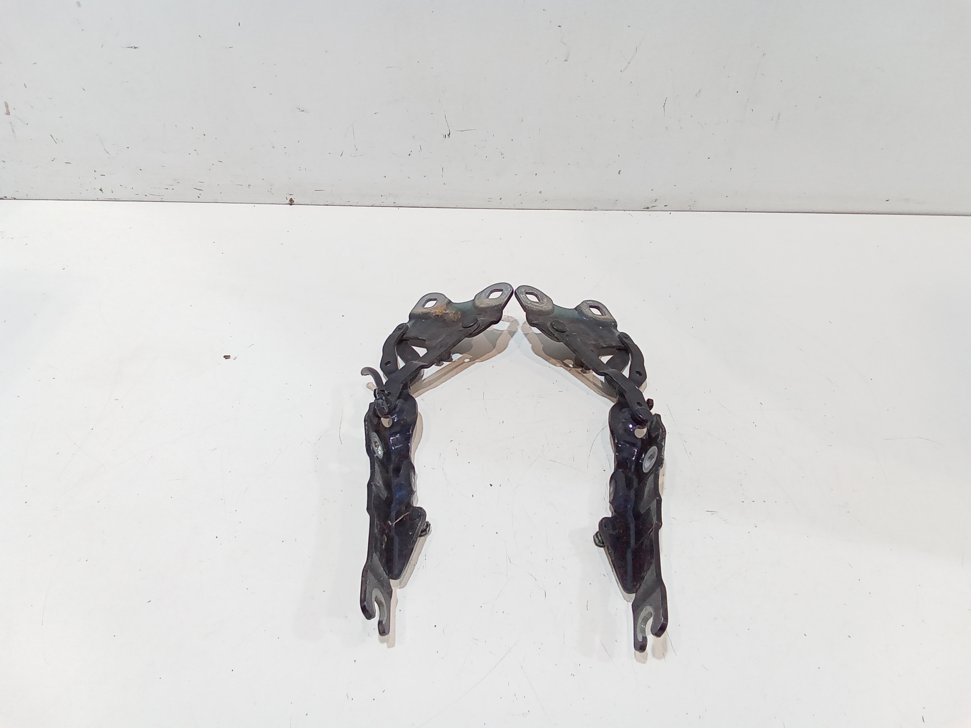 Cerniera Cofano Ant. Sinistro 51239805937 Usato