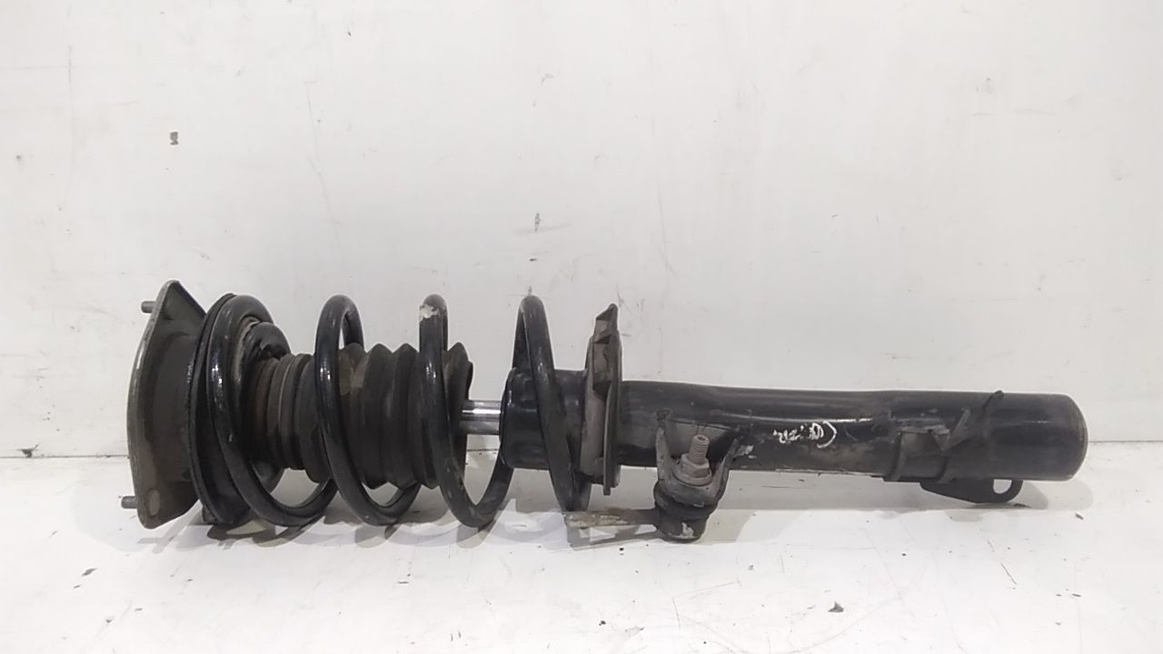 Ammortizzatore Ant. Destro 31309813652 Usato